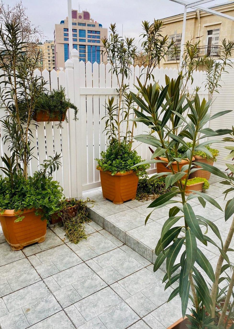 Zimmer Boutique Hotel Baku Exterior foto